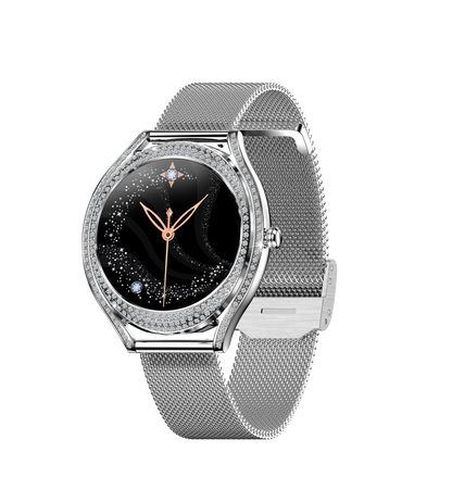 SV66 Dagnet Silver Mesh Smartwatch